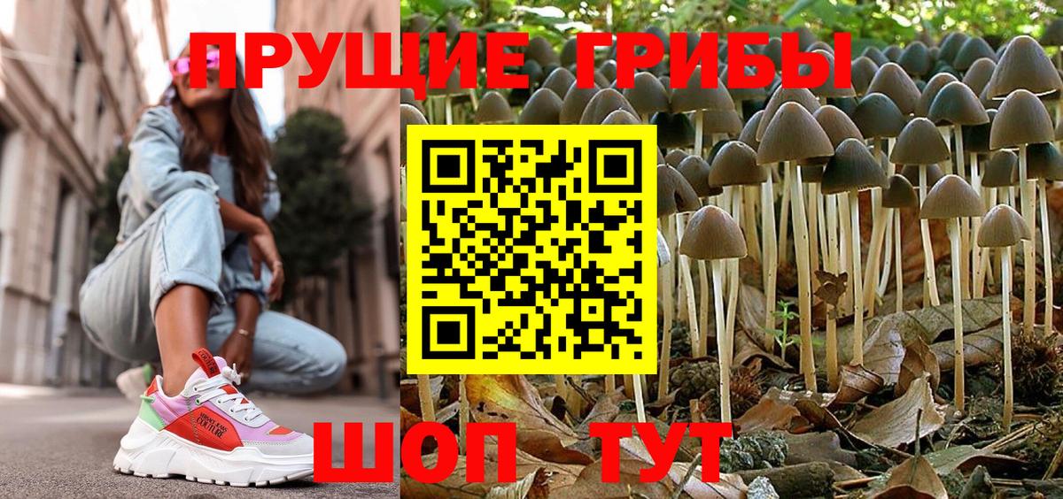 Тулун  Псилоцибиновые грибы Psilocybe  Вход с VPN  магазин    Псилоцибиновые грибы GOLDEN TEACHER 