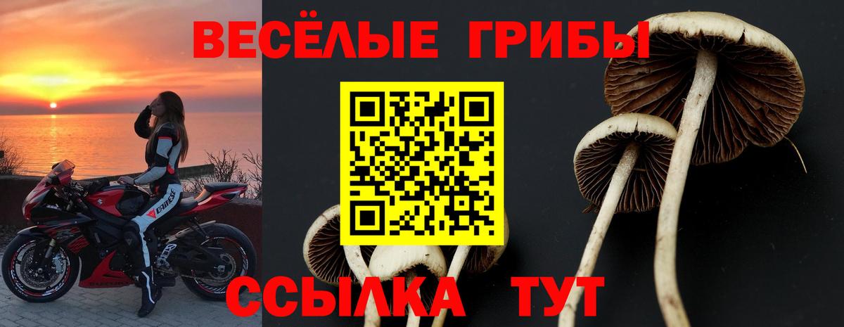 Галлюциногенные грибы MAGIC MUSHROOMS Тулун
